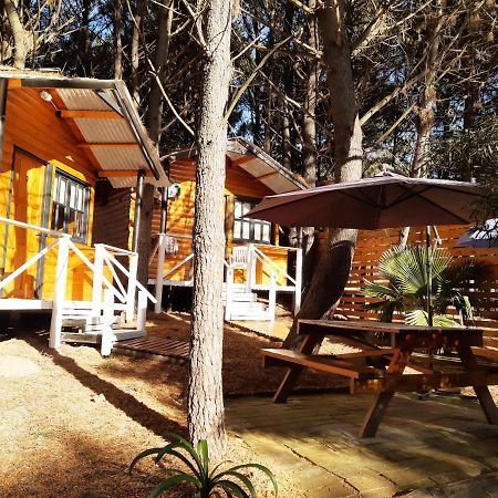 Cabanas Las Escondidas Monte Hermoso Exterior foto